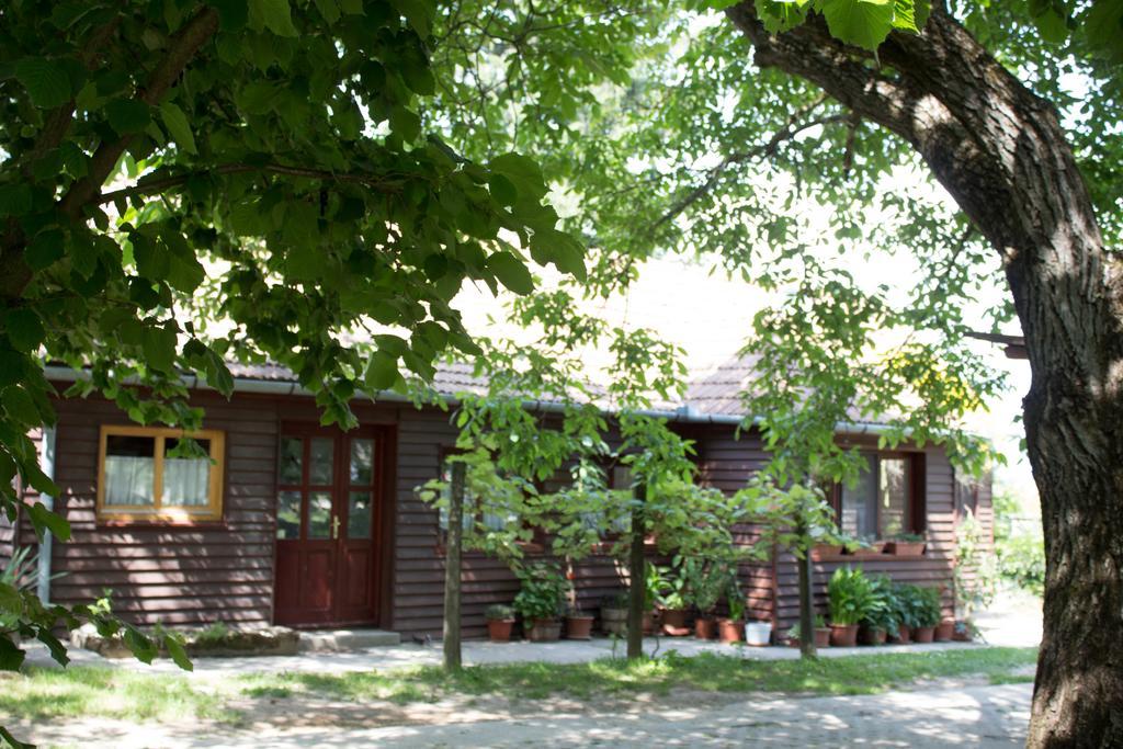 Holiday Home Melinda Ceglédpuszta Εξωτερικό φωτογραφία