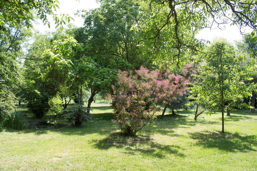 Holiday Home Melinda Ceglédpuszta Εξωτερικό φωτογραφία